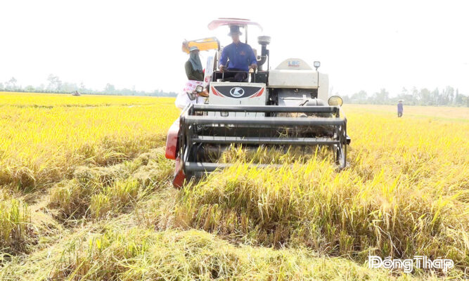 Hợp tác xã Dịch vụ nông nghiệp Bình Thành phát triển nhiều dịch vụ hỗ trợ thành viên.